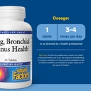 lung-bronchial-sinus-health-by-natural-f-3.jpg