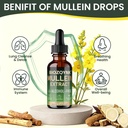 mullein-drops-lung-cleanse-leaf-extract--3.jpg