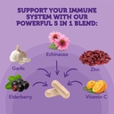 vitamin-bounty-elderberry-organic-elderb-6.jpg