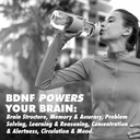 health-direct---aminomind---nootropic-co-3.jpg