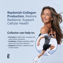 elysium-cofactor-4-in-1-collagen-peptide-2.jpg