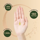 naturebell-berberine-supplement-1-500mg--3.jpg