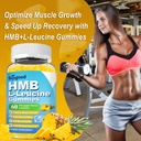 hmb-and-l-leucine-gummies-leucine-supple-6.jpg