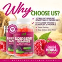 elderberry-200mg-gummies-with-vitamin-c--2.jpg