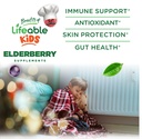 lifeable-sugar-free-elderberry-gummies-f-3.jpg