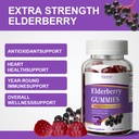 5-in-1-sambucus-elderberry-immune-gummie-6.jpg