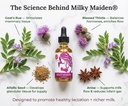 milky-maiden-lactation-herbal-supplement-3.jpg