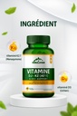 divya-himalayan-plant-based-vitamin-d3-k-4.jpg