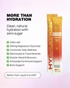 raised-hydration-electrolyte-drink-mix-z-3.jpg