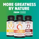 zhou-dim-active-dim-supplement-hormone-b-5.jpg