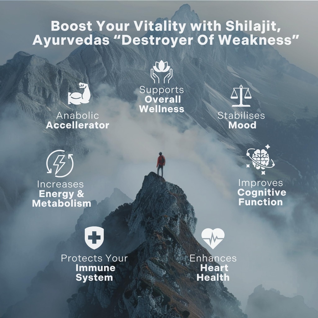 organic-himalayan-shilajit-resin-extract-2.jpg