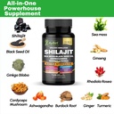 shilajit-for-men-and-women-organic-himal-2.jpg