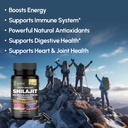 shilajit-for-men-and-women-organic-himal-5.jpg