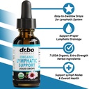 lymphatic-drainage-supplements-drops-org-2.jpg