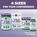 vital-planet-vital-gut-renew-capsules-su-5.jpg