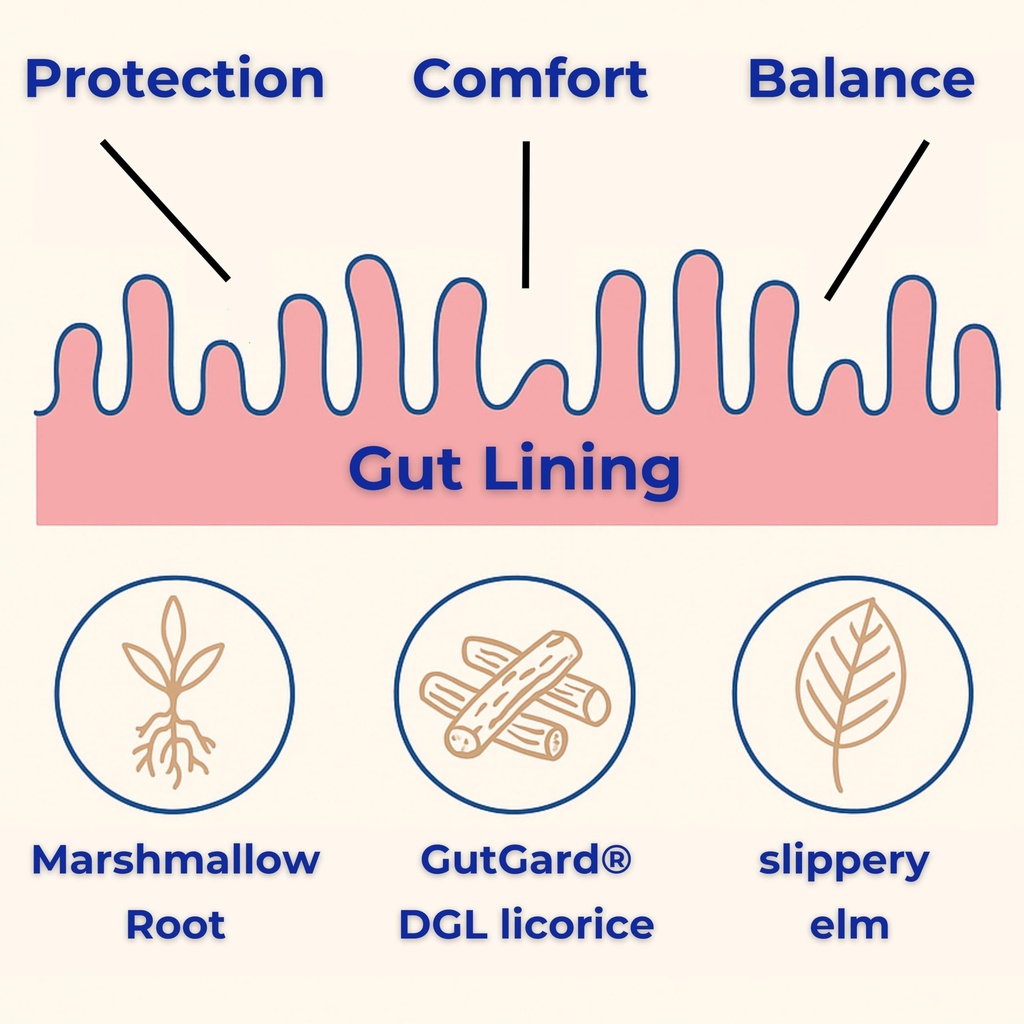 gut-health-digestive-support-supplement--5.jpg
