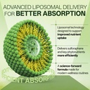 liposomal-sulforaphane-500mg-supplement--6.jpg