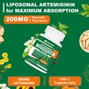 liposomal-artemisinin-supplement-1000mg--4.jpg