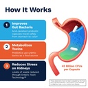 renadyl-kidney-probiotic-supplement-urea-4.jpg