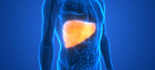 kidney-liver-pills-liver-support-complex-4.jpg