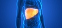kidney-liver-pills-liver-support-complex-4.jpg