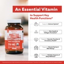 magnesium-60-ct-plant-d3-5000-iu-k2-mk-7-5.jpg