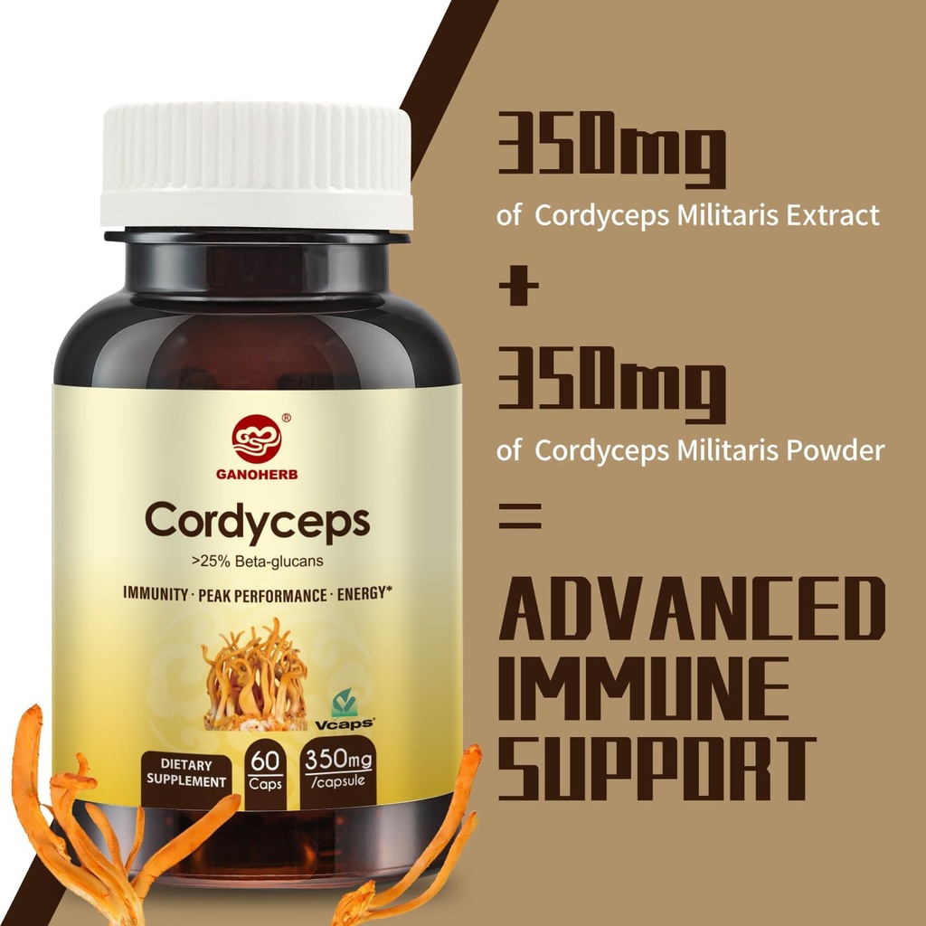 cordyceps-capsules-mushroom-extract-supp-3.jpg
