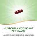 nature-s-way-resveratrol-forte-protects--3.jpg