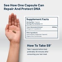 hpn-s-9-sirtuin-booster-ultra-pure-trans-2.jpg