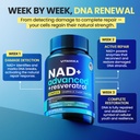 liposomal-nad-supplement-extra-strength--2.jpg