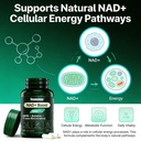 nad-boost-supplement-with-nmn-trans-resv-6.jpg