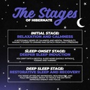 hibernate-sleep-supplement-complete-opti-5.jpg