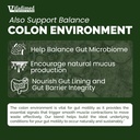 rhubarb-gut-motility-activator-for-bowel-3.jpg