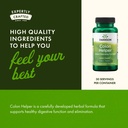 swanson-colon-helper-herbal-digestive-su-5.jpg