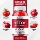 3-pack-bio-fuel-keto-acv-gummies-advance-5.jpg