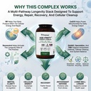age-finity-nad-nr-cellular-optimzation-m-4.jpg