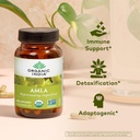 organic-india-amalaki-herbal-vitamin-sup-2.jpg
