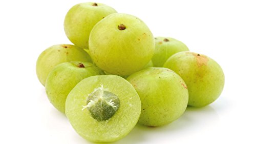 foodherbs-amla-powder-100-pure-phyllanth-2.jpg