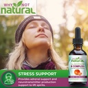 why-not-natural-vitamin-b-complex-liquid-4.jpg