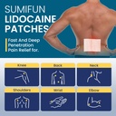 sumifun-4-lidocaine-pain-relief-patches--4.jpg