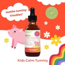 sprigs-kids-calm-tummy-herbal-drops-for--3.jpg