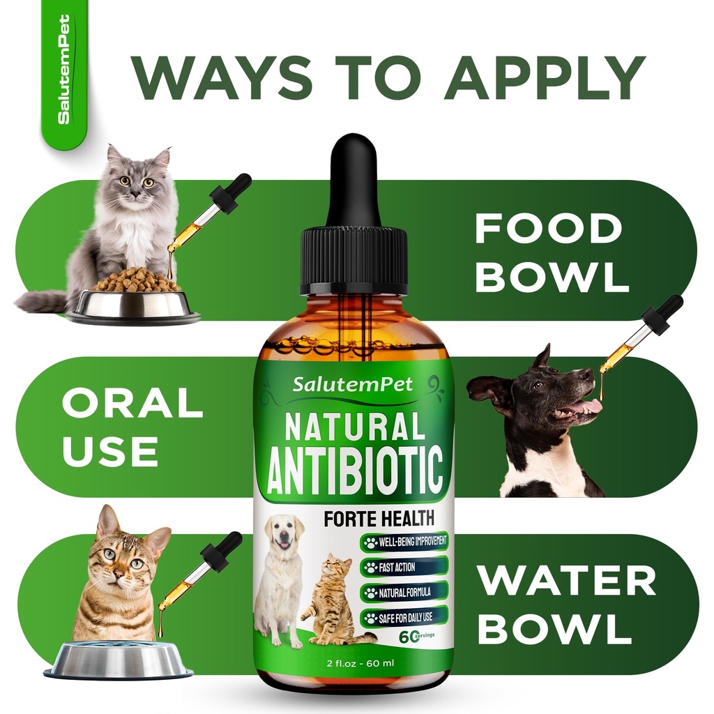 natural-antibiotics-for-dogs-to-help-wit-6.jpg