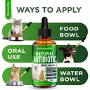 natural-antibiotics-for-dogs-to-help-wit-6.jpg