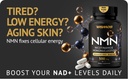 nmn-supplement-500mg-99-pure-nicotinamid-2.jpg