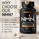 nmn-supplement-500mg-99-pure-nicotinamid-6.jpg