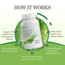 aloecure-aloe-digestion-pack-2-pieces-al-3.jpg