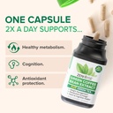 zenwise-health-egcg-green-tea-extract-ca-3.jpg