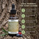 parasite-cleanse-wormwood-black-walnut-d-5.jpg