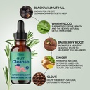 ellora-gut-cleanse-drops-with-black-waln-3.jpg
