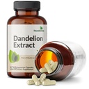 futurebiotics-dandelion-extract-traditio-4.jpg